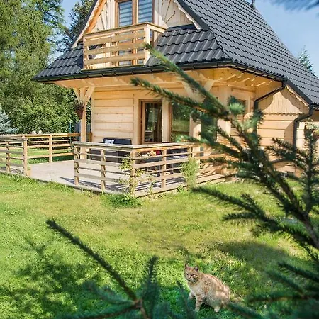 Alpesi faház Fiedorowka Zakopane
